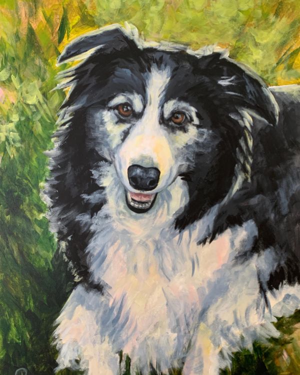 Oil painting of a smiling black and white Border Collie against green leaves